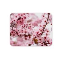 szakura egérpad 004