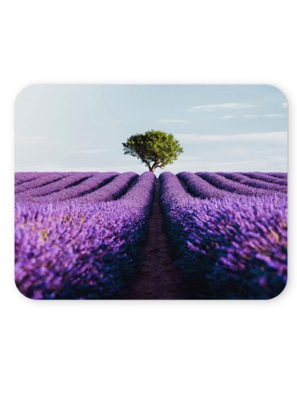 levendulamezős egérpad 004