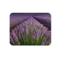 levendulamezős egérpad 004